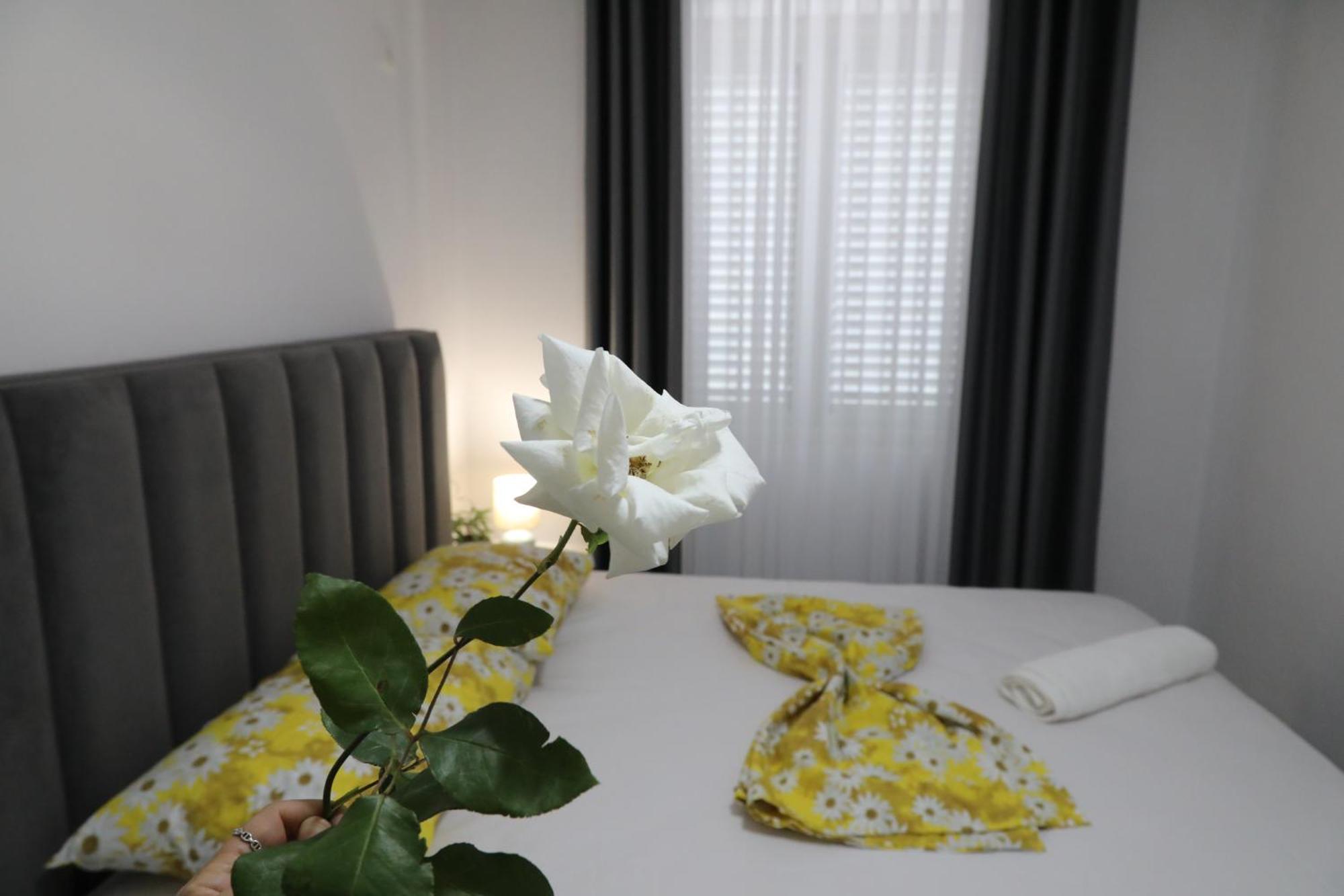 שקודר Rozafa Guest Room Center מראה חיצוני תמונה