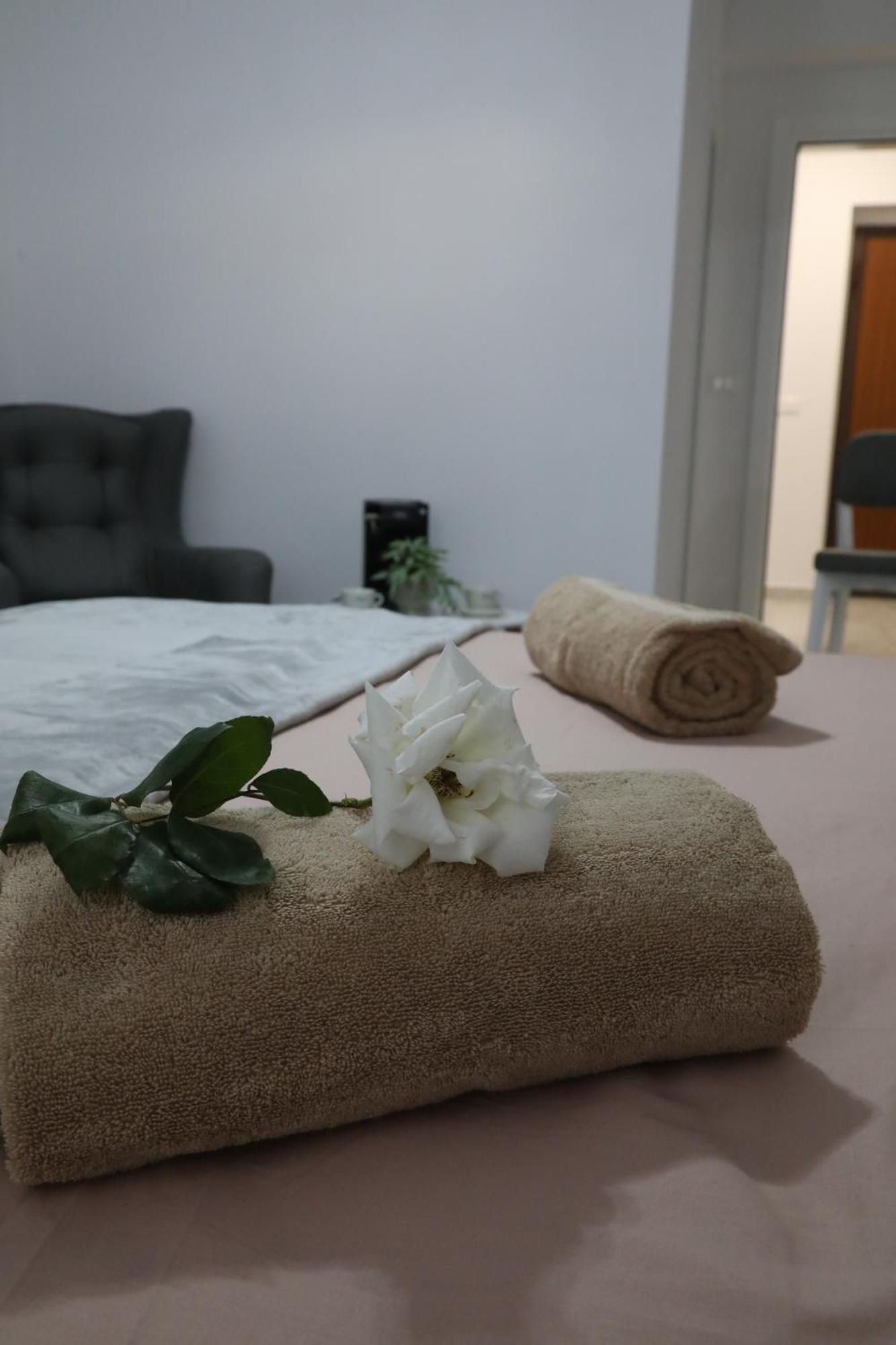 שקודר Rozafa Guest Room Center מראה חיצוני תמונה